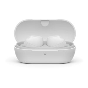 Sony WF-C710N Truly Wireless Earbuds